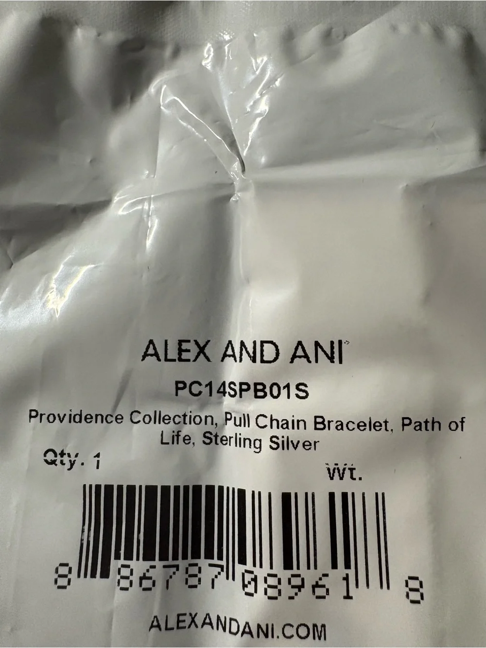 Alex and Ani Silver Filigree Necklace - Silver